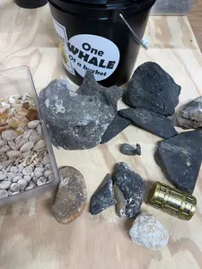 ONE WHALE OF A BUCKET ONE GALLON FOSSIL AND NATURAL CRYSTAL MINING BUCKET
