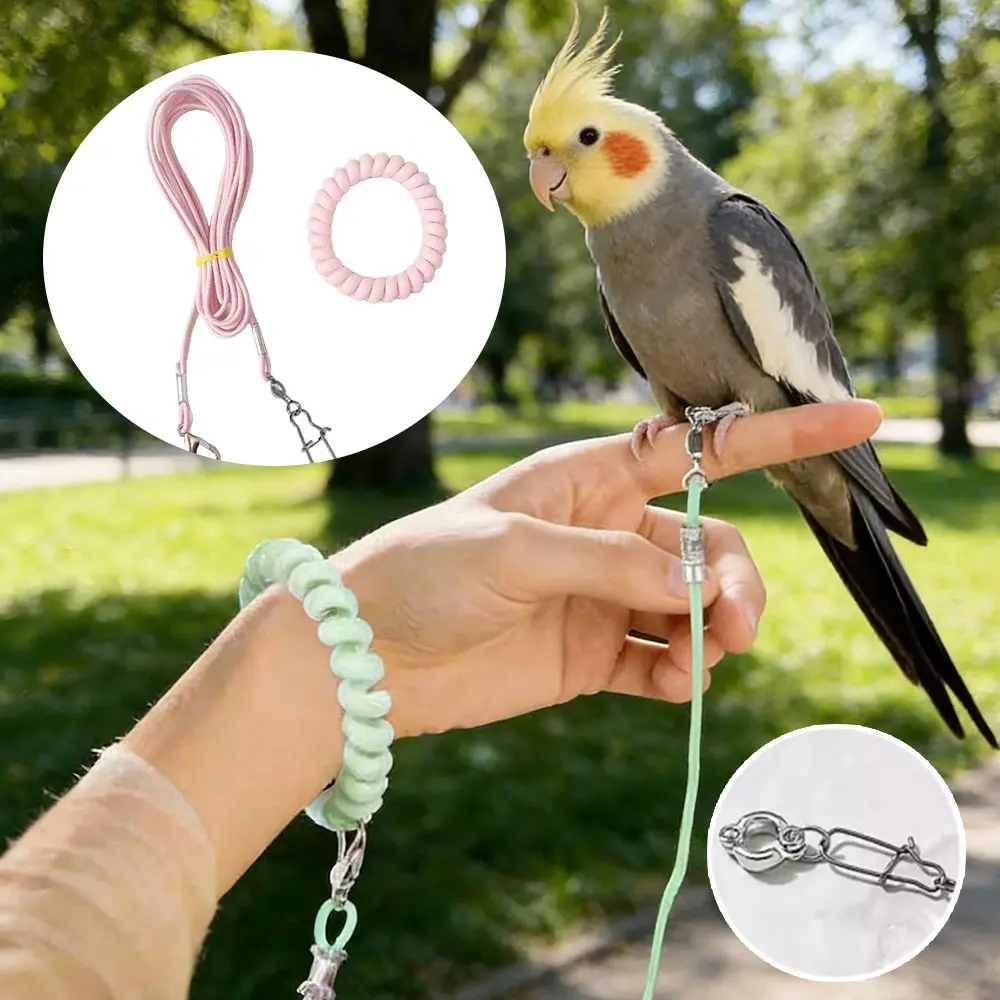 Ultra-Light Portable Bird Training Leash, Parrot Elastic Release Rope, Phoenix Tiger Peacock Foot Ring, Harnesses, Safe Flight Training for Outdoor, Indoor and Outside Use