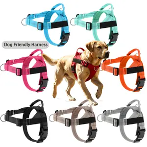 Adjustable Cat & Dog Harness with Lead Leash Breathable Mesh Vest,360 Swivel No Tangle Walking Leash,Reflective, Polyester for Small Pets