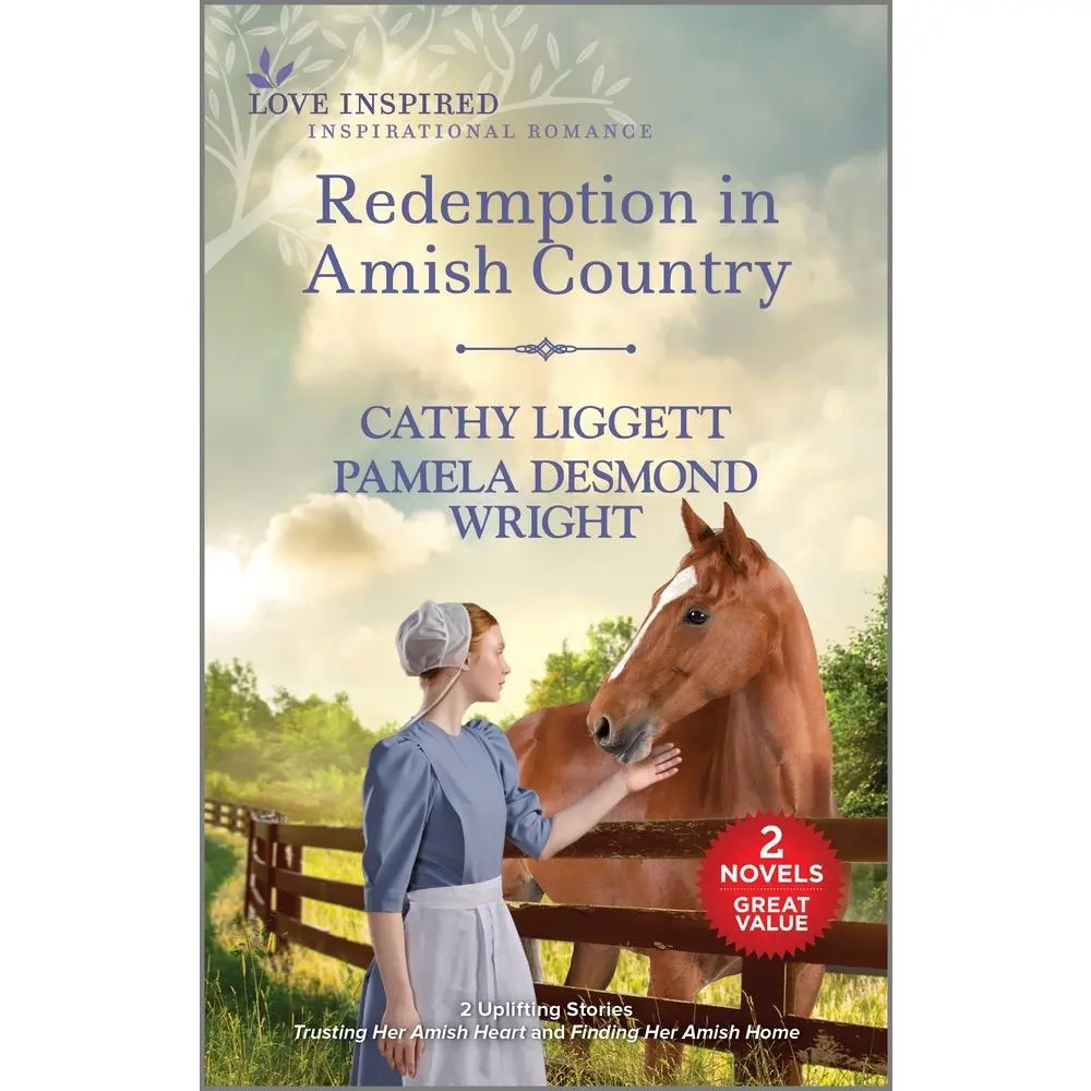 USED Book - Redemption in Amish Country by Liggett, Cathy (Mass Market Paperback) - english