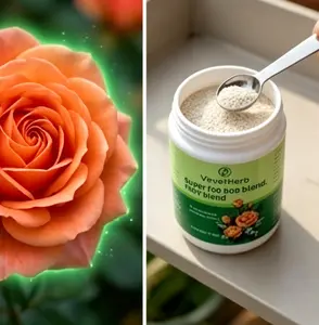 Plant Rooting Powder, Multipurpose Propagation Supplement for Cuttings, Seedlings & Transplants, Gentle Root Growth Support for Indoor Houseplants, Outdoor Garden Flowers & Vegetables