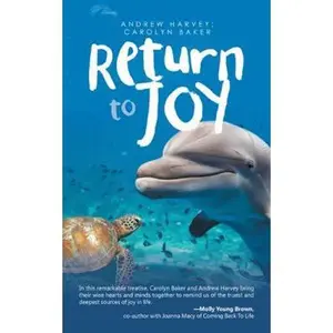 USED-Return to Joy by Harvey, Andrew (Paperback)