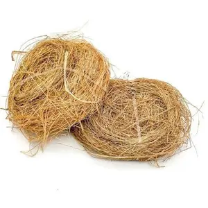 African Native sponge