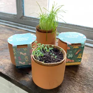 Pet Tiny Terracotta Grow Kits Pet Tiny Terracotta Grow Kits