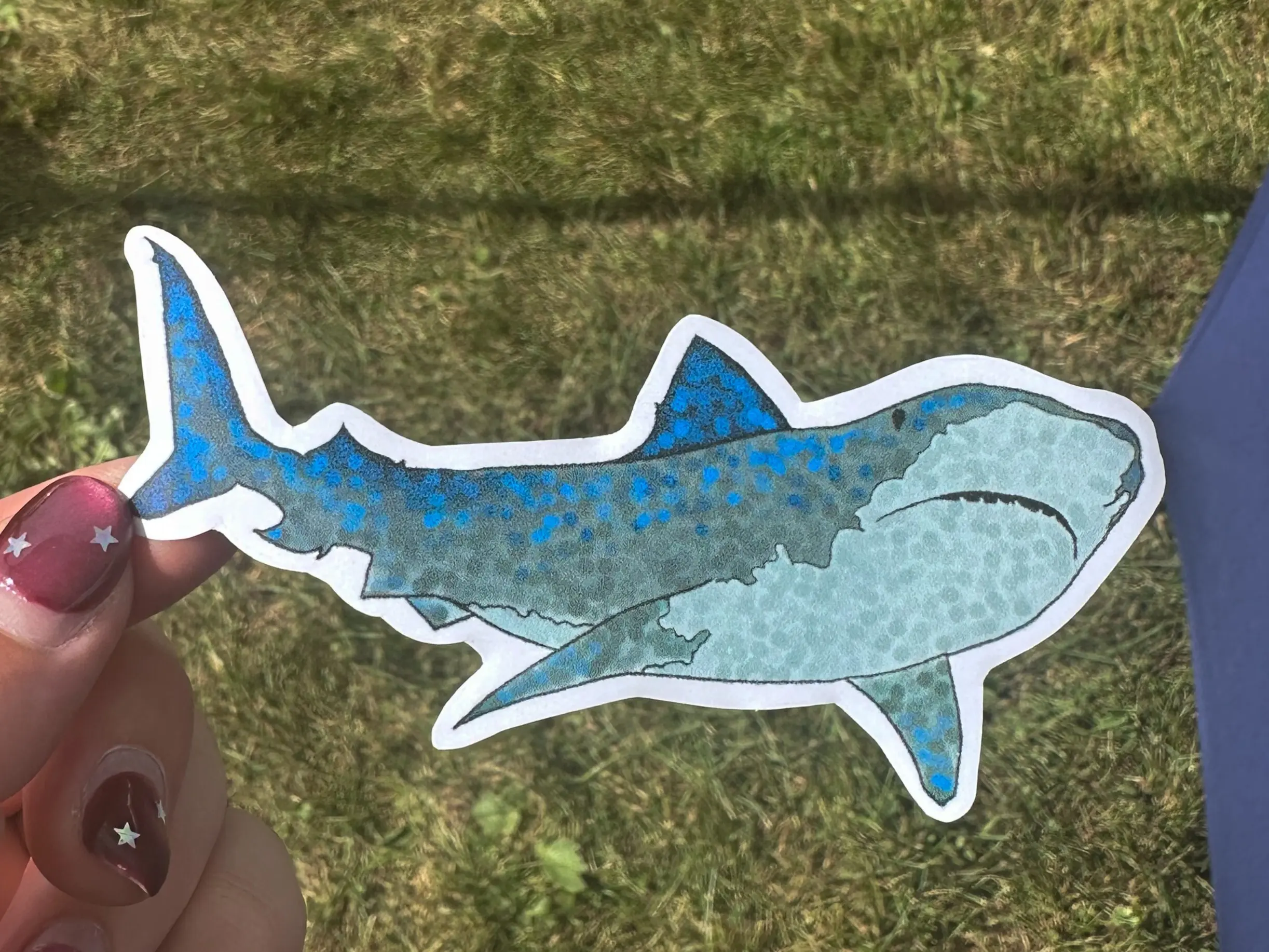 Great White Shark Sticker (Waterproof/Regular Glossy)