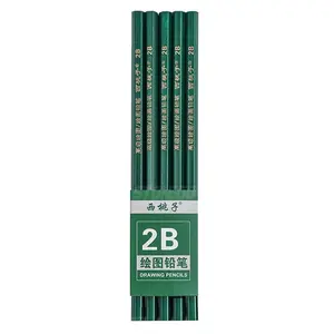 2B Pencils for Exams & Sketching, 10/20 Pack Graphite Pencils for Students, Non-Toxic Art Drawing Pencils, Hexagonal Anti-Slip School Pencils, HB 2B Shading Pencils for Professional Test Scoring