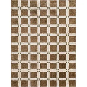 Kalkin Brown Area Rug