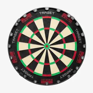 Target 2024 Tor Dartboard
