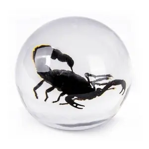 Real Black Scorpion in Resin Globe – Nature-Inspired Decorative Art, Entomology Collectible & Home Decor Ornament, Scorpio Unique Gift Sculpture desk decor ornament