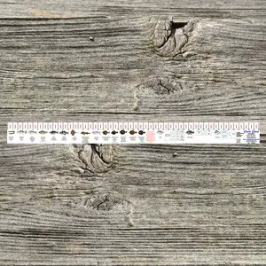 RHODE ISLAND STATE WATERS SALT WATER RULER 50 INCH FISH ID AND STATE REGULATIONS FISH RULER DECAL