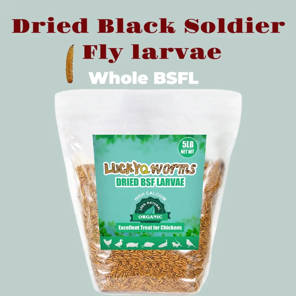 LuckyQworms 5LB Dried Black Soldier Fly Larvae For Backyard Chickens, High Calcium Non-GMO Poultry Treats Boost Strong Eggshells & Healthy Growth Natural Feed Supplement