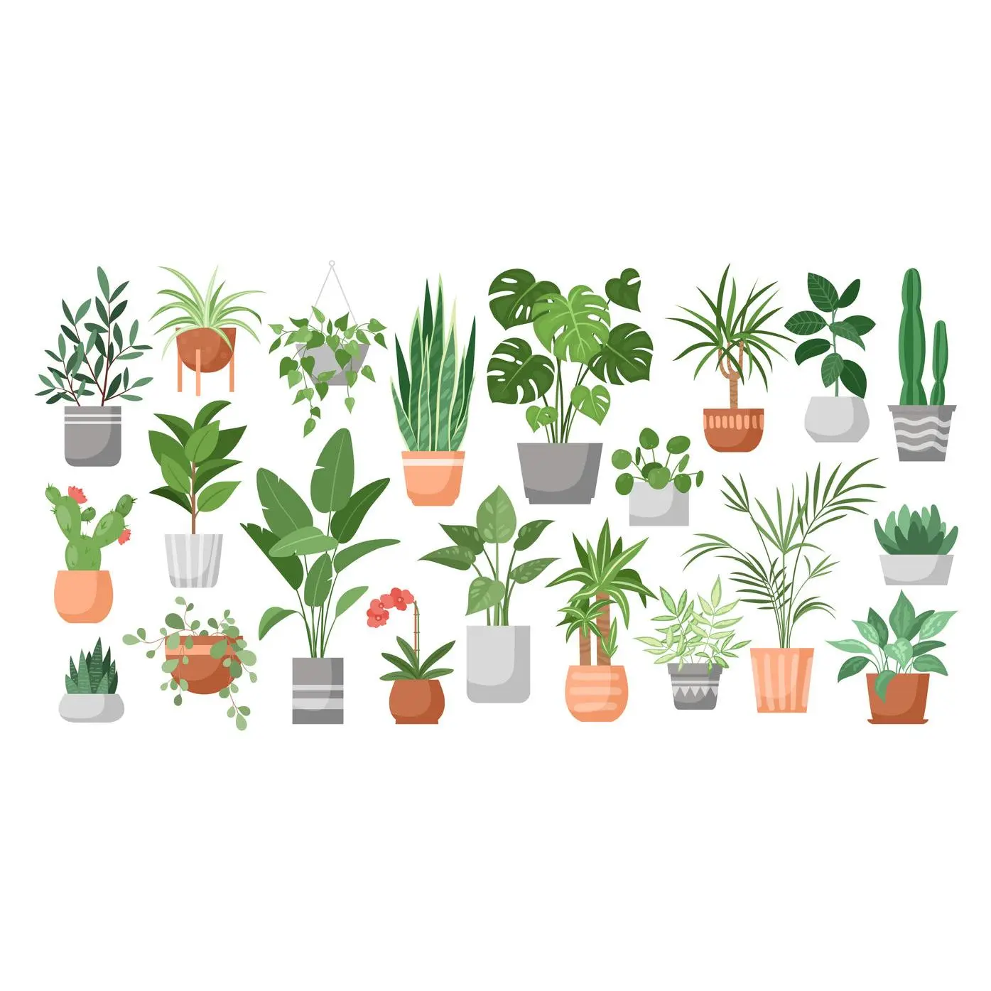 Houseplant Club, 3 MONTHS PREPAY / Save 5%: Delivered Monthly, FREE SHIPPING!