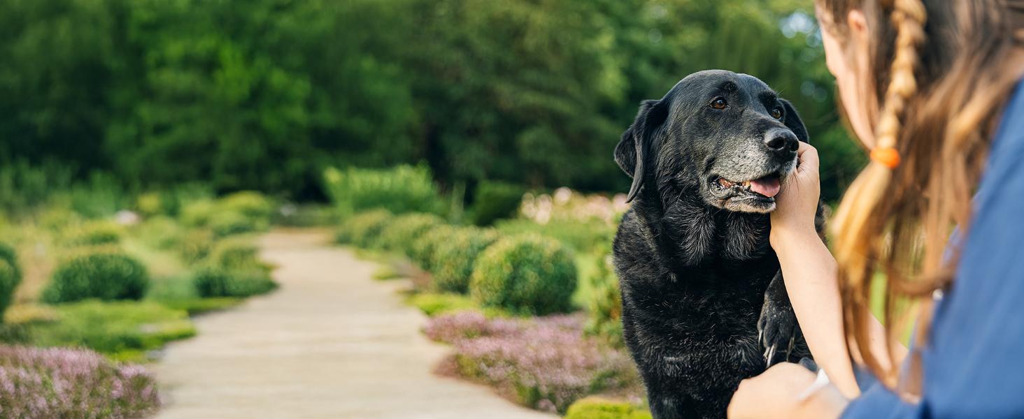 Vet’s Best Enzymatic Dog Toothpaste – Vet Formulated Dental Gel for Teeth Cleaning, Fresh Breath, Tartar Control, Plaque Remover & Oral Hygiene for Dogs, 3.5 oz Vet’s Best Enzymatic Dog Toothpaste – Vet Formulated Dental Gel for Teeth Cleaning, Fresh Breath, Tartar Control, Plaque Remover & Oral Hygiene for Dogs, 3.5 oz