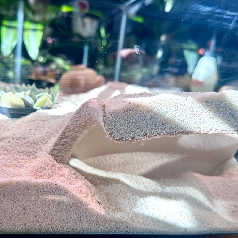 Corner Aquarium Cave for Aquatic Animals and Reptiles, Hideaway and Display Area, Ideal for Fish and Amphibians, Tank Decoration