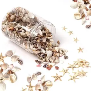 1200 PCS Tiny Sea Shells Small Natural Starfish Mixed Ocean Beach Spiral Seashells for Home Decorations,Wedding Decor,Candle Making,Beach Theme Party,DIY Crafts and Vase Fille