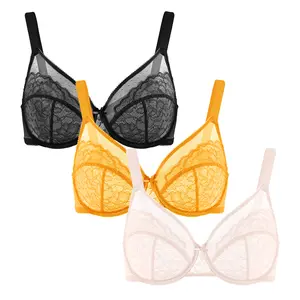 【3 Pack】 Enchante Lace Bra Set Floral Lace Underwire PLus Size Full Coverage Bra 【3 Pack】 Enchante Lace Bra Set Floral Lace Underwire PLus Size Full Coverage Bra
