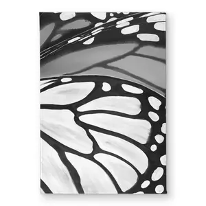 Begin Home Decor CODM17245G2AKA 17 x 24 in. Butterfly Wings Closeup Door Mat - Living Room Decor