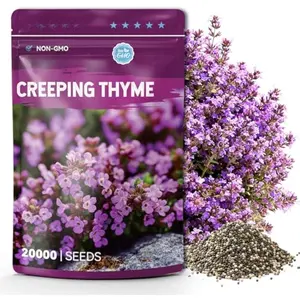 20000+ Creeping Thyme Seeds for Planting, Non-GMO Ground Cover Seeds, Fragrant Lawn Alternative for Garden, Paths & Landscaping (10g / 0.35 oz)