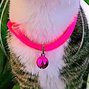 Pink Cat Collar for Pet Fashion Accessories - Neck Accessory for Cats adjustable