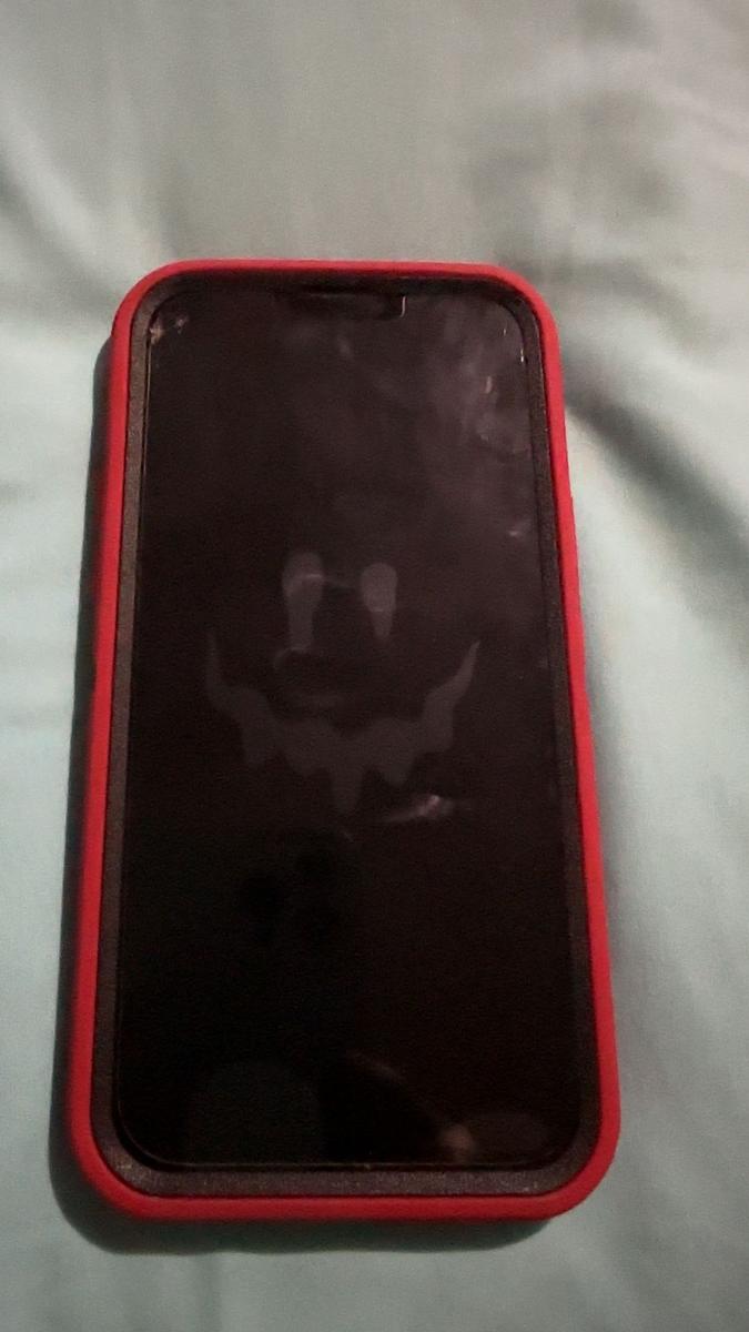 Item: Red | Black, For iPhone 13 Pro Max