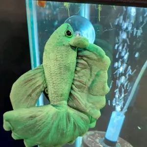 Green Betta Plush