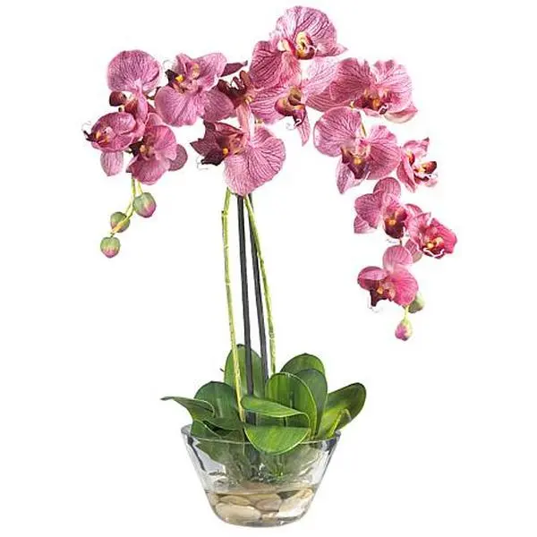 Nearly Natural Silk Phalaenopsis with Glass Vase Arrangement