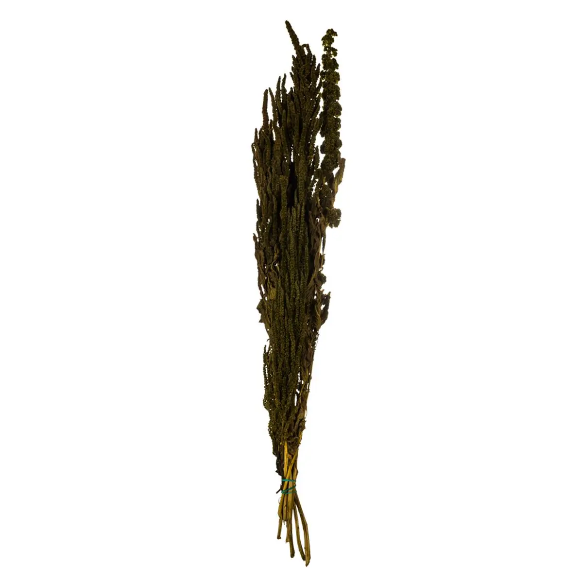 212 MAIN Light Green Amaranth Christmas Ornaments Bundle, 7-8 oz Festive Home Decorations, Holiday Party Supplies