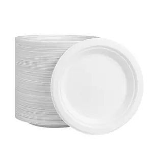 Everyday Paper Plates, 8.62 Inch, Disposable, 100 Count Set