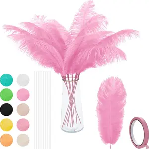 Ostrich Feathers Bulk - 12Pcs 12-14inch Large Boho Feathers for Vase,Wedding Party Centerpieces and Home Decorations