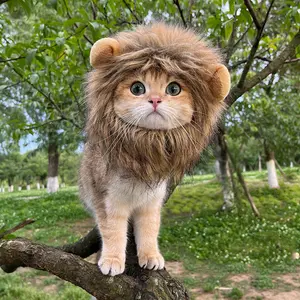 Cat lion head cover ears small dog dog hat yellow simulated lion pet cute accessories headdress Bichon Frise