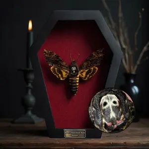 Dead Head Moth Coffin Butterfly Gothic Decor Taxidermy Gift Curiosities Shadow Box Display Oddity Hanging Dark Display Table Wall Home Decor