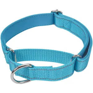 Martingale Dog Collar  Reflective Nylon Padded Collars For Medium Dogs Blue M