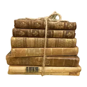 Curated Antique Leather Book Stack | Set of 7