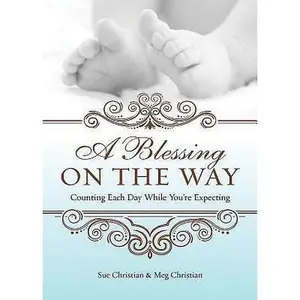 USED-A Blessing On The Way: Counting Each Day While You're Expecting by Meg Christian (Paperback)