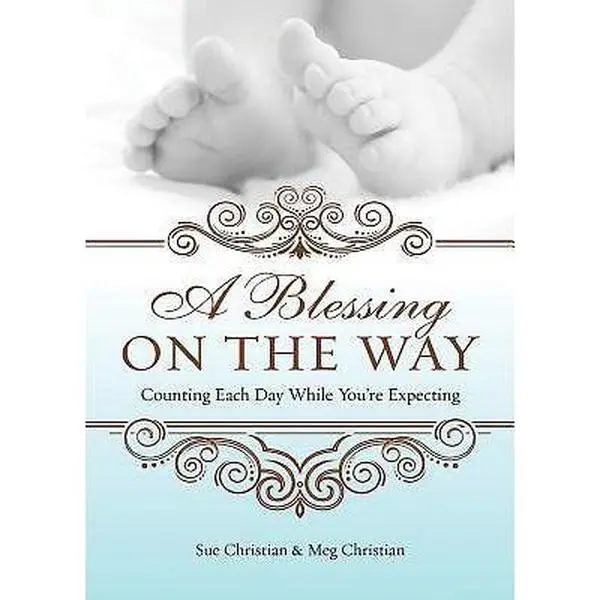 USED-A Blessing On The Way: Counting Each Day While You're Expecting by Meg Christian (Paperback)