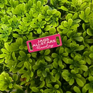 Shoe tags for sports