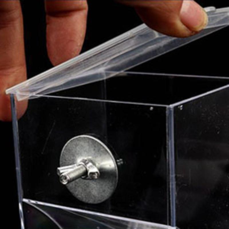 Automatic No Mess Bird Feeder –  Transparent with perch. For small & medium birds (parakeet, cockatiel, lovebird, canary, finch). Easter Gift