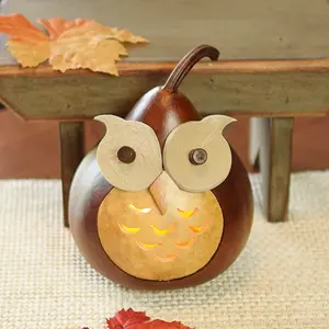 Hand-Crafted Owl Gourd Luminary - Professor Owl - Small Lit