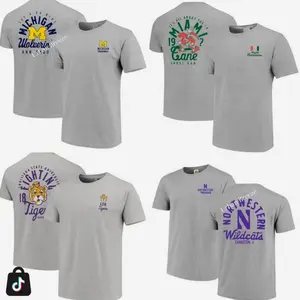 [Sale off 50%] Custom University Graphic Mascot Overlay All Team 2 Side Grey COLOR T-shirt, Vintage Graphic Tee, Sport Fan Gift Shirt, Men's Oversized Athletic T-shirt, College Shirt, Men's Regular Fit Graphic T-shirt, Football Tee WZD