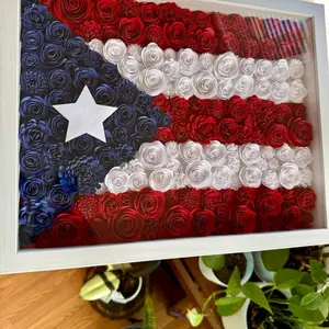 Puerto Rican Flag Shadow Box