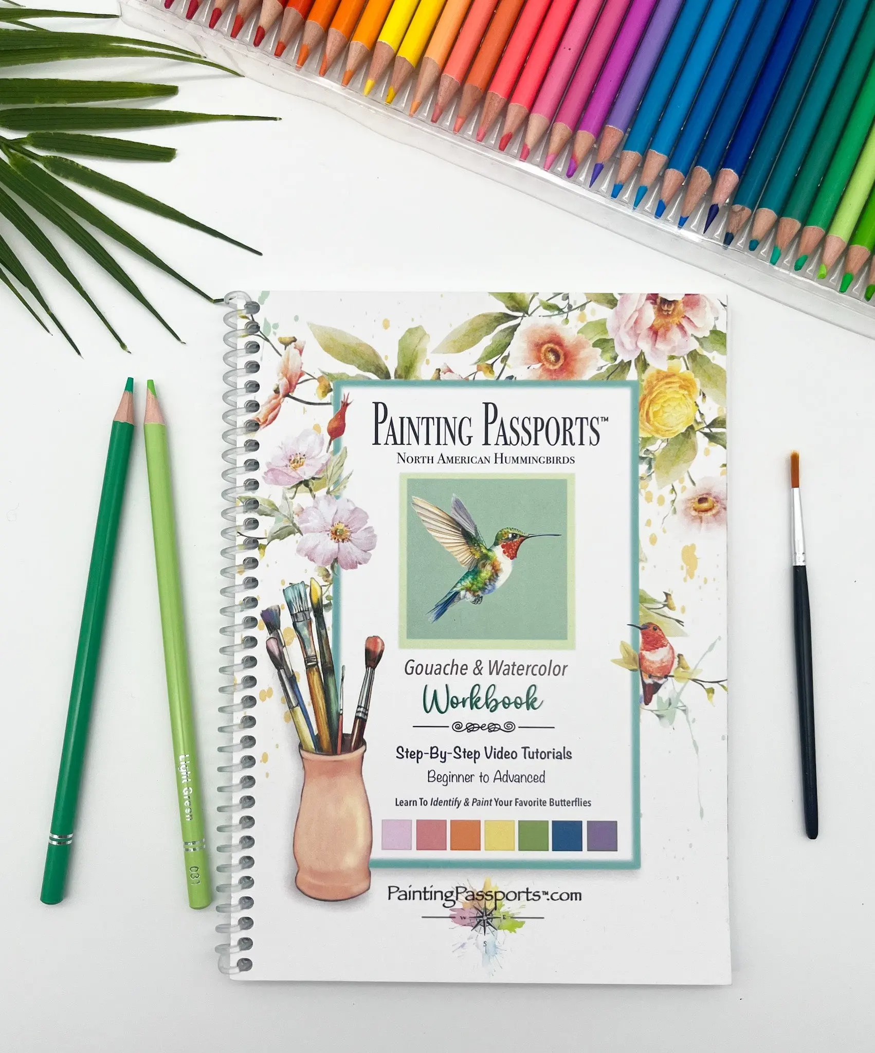 Painting Passports™ North American Hummingbird Edition I - Gouache & Watercolor Workbook with Step-by-Step Tutorials for Beginners to Advanced Artists