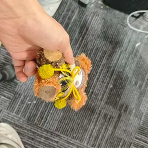 Teddy Bear Cookie Plush Series Blind Box Christmas and New Year Gifts