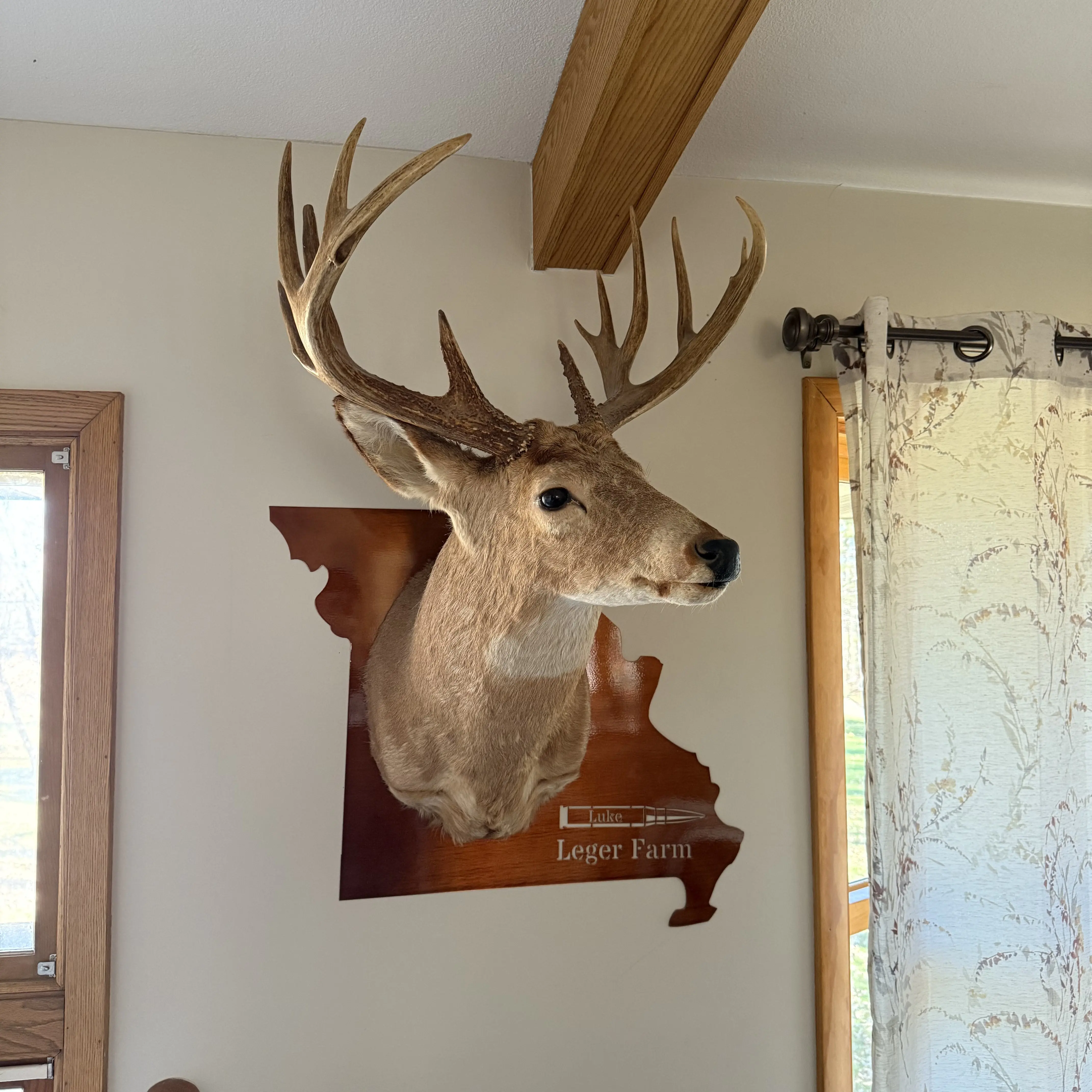 Shoulder Wall Mount Plaque
