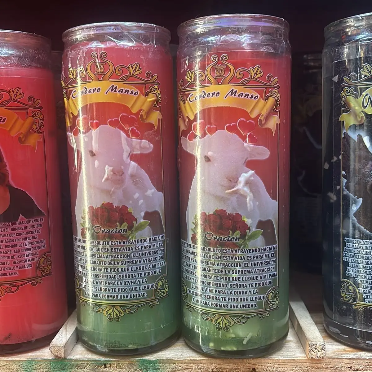 Gel candles Cordero manso