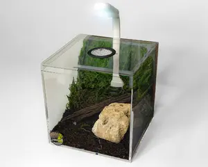 4" Ventilated Acrylic Vivarium Terrarium Enclosure Clear Bug Habitat for Spiders Isopods Insects Reptiles with Removable Top & 1-inch Vent