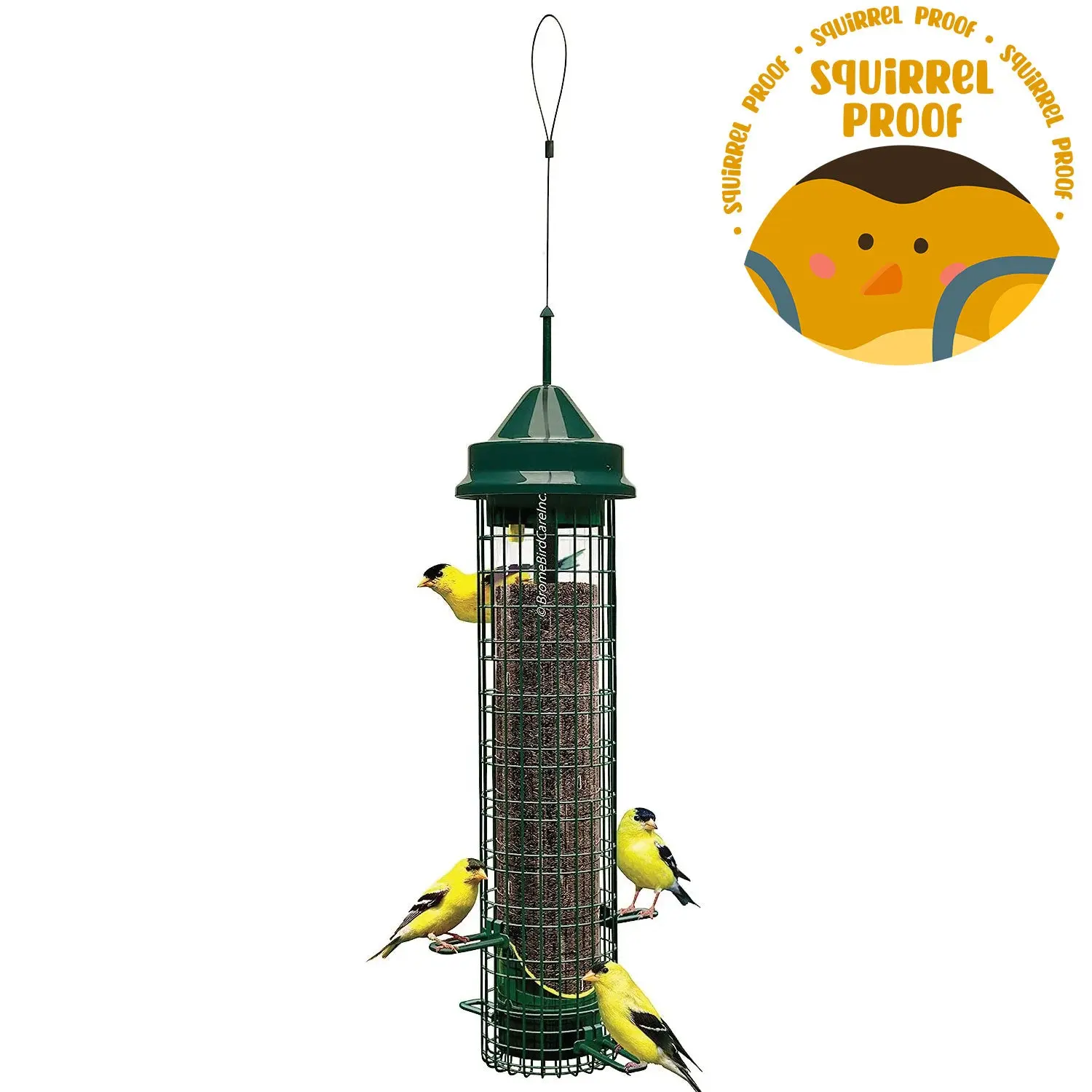 Squirrel Buster Finch Feeder