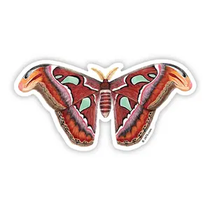Moth 13 (Atlas Moth) Vinyl Sticker