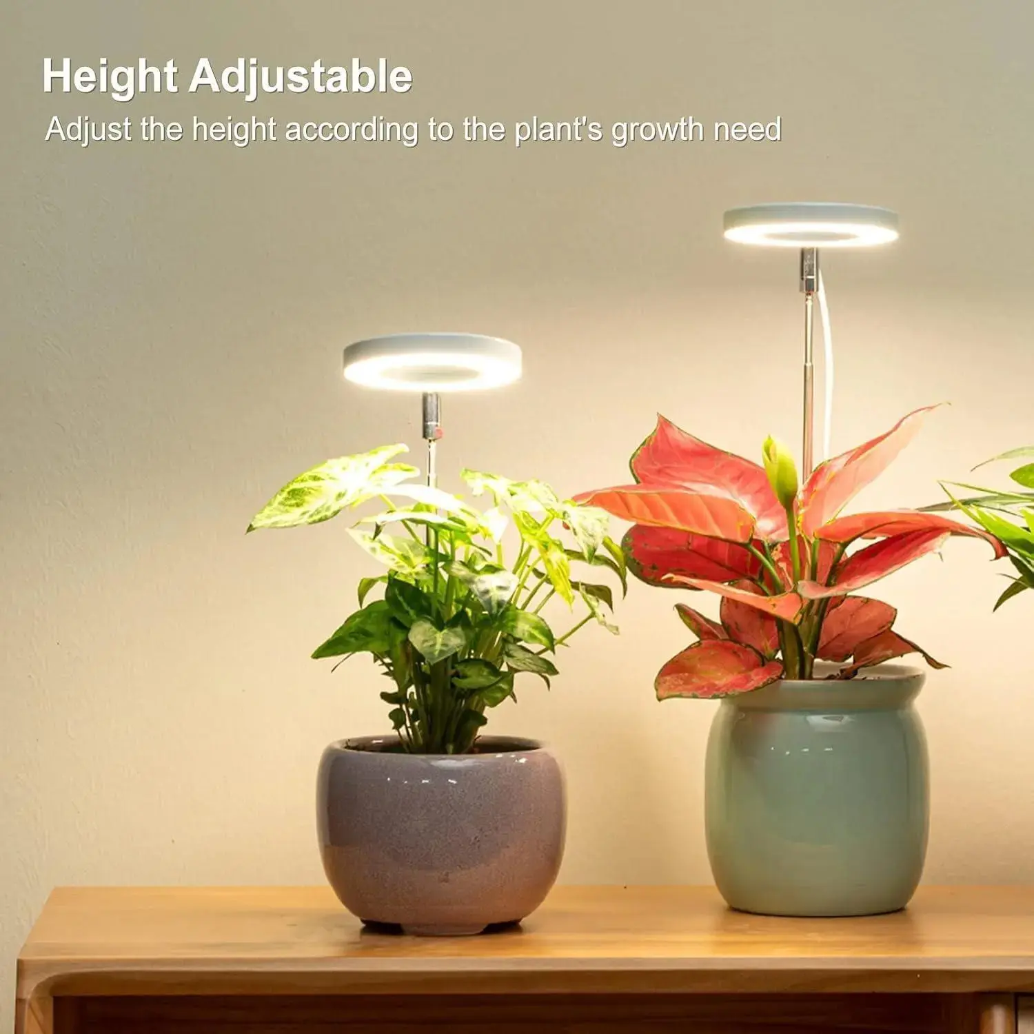 2 Pack USB-Powered Full Spectrum LED Grow Lights for Indoor Plants, 10 Brightness Levels, 3 Color Modes, Auto Timer & Adjustable Height 3.5"-21", Lockable Heavy-Duty Stand, Plant Lamp for Terrarium, Rainforest, Succulents, Seedlings, Watermelon Grow