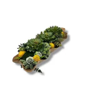 Succulent Design in Natural Leaf Shape Walnut Wood Vase | Faux Succulent and Floral Arrangement | Arranged Succulents for Table Centerpiece and Gifts