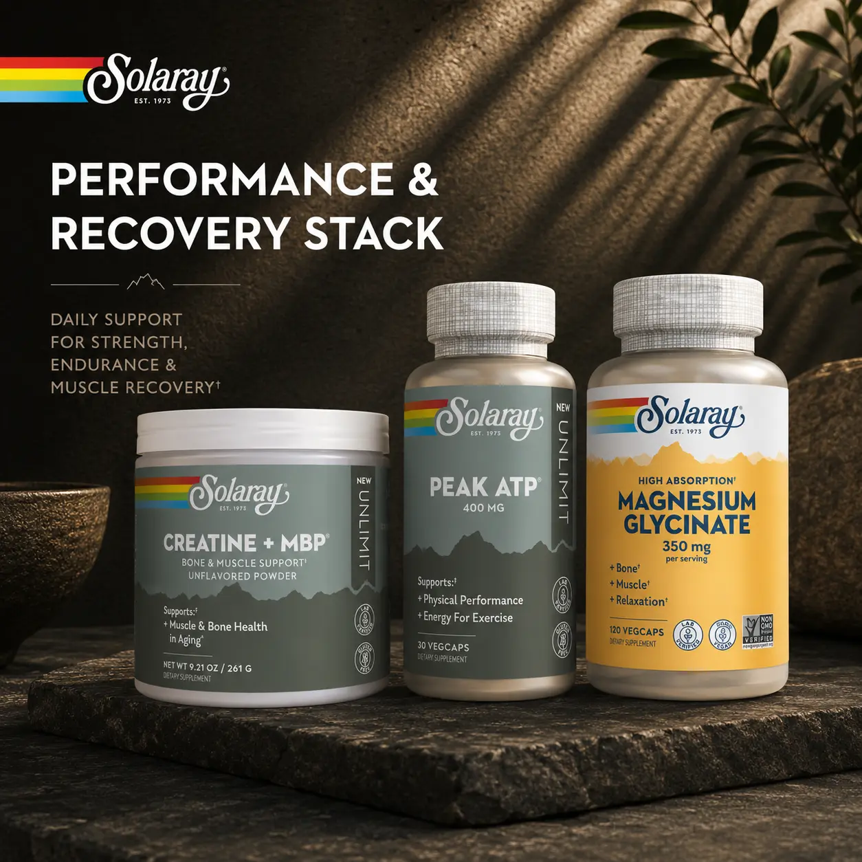 Solaray Longevity Performance Stack – Creatine + MBP + Peak ATP + Magnesium Glycinate – Healthy Aging Daily Routine